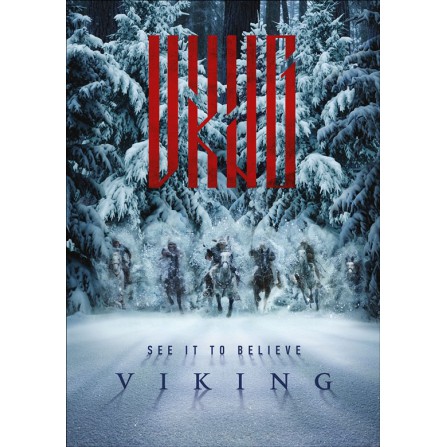 VIKINGOS DE ANDREI KRAVCHUK DIVISA - DVD