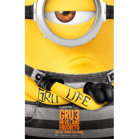 GRU 3 MI VILLANO FAVORITO SONY - DVD