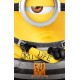 Gru 3 mi villano favorito  - BD