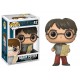 Funko Pop Harry Potter Map