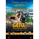 GATOS FOX - DVD