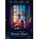 Wonder Wheel - DVD