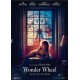 Wonder Wheel - DVD