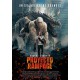 Proyecto Rampage - DVD