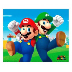 Cuadro 3D Mario y Luigi (Super Mario)
