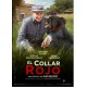 El collar rojo - DVD