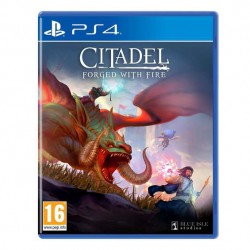Citadel - Forged with Fire - PS4
