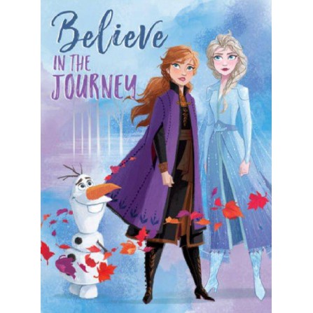 Lienzo Frozen 2 30x40 Believe Journey