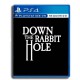 Down the Rabbit Hole (VR) - PS4