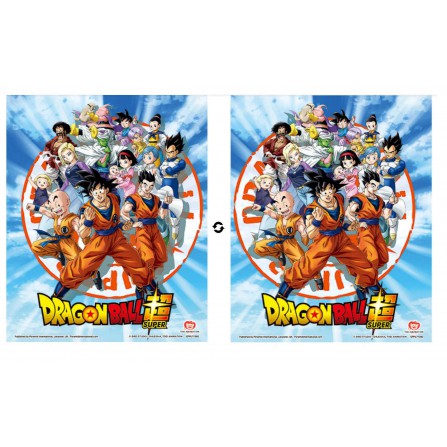 Cuadro 3D Goku and the Z Fighters DB Sup