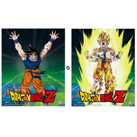 Cuadro 3D Power Levels Increased DB Z