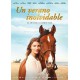 Un verano inolvidable  - DVD