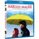 Harold y maude  - BD