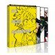 My hero academia Temporada 1 (ep.1-13) - DVD