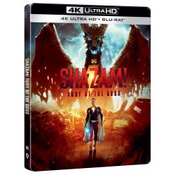 Shazam : La furia de los dioses (4K UHD -Blu-ray, E.E. metálica)