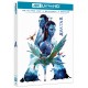 Avatar (Versión remasterizada 2022 4K UHD)
