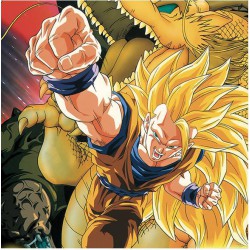 Dragon Ball Z película 13 (catalan) - BD