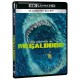 Megalodon (4K UHD+BD) 