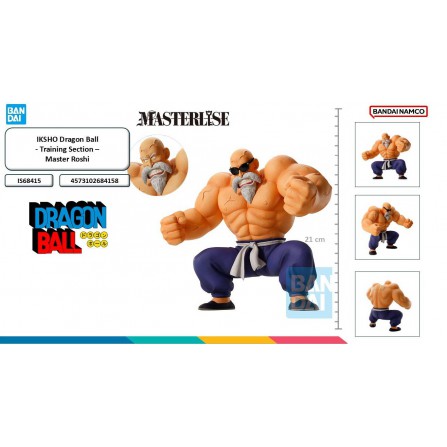 Figura Master Roshi - Dragon Ball Z