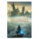 Cuaderno Hogwarts legacy