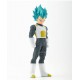 Dbs blood vegeta