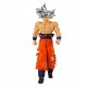 Dbs goku ultra instinct