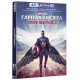 Capitán América - Brave new world (4K UHD)
