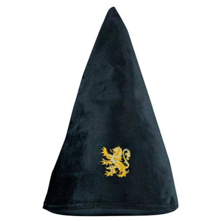 Sombrero gryffindor student