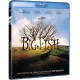 Big fish - BD