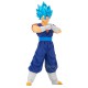 Fig. dbs blood vegito