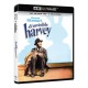 El invisible Harvey (4K UHD +BD) 