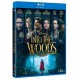 Into the Woods - BD