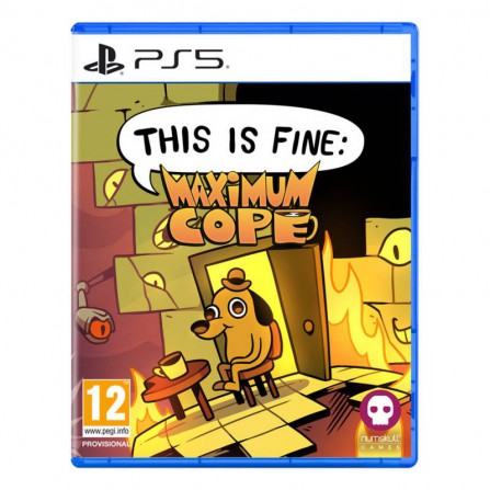 This is Fine Maximum Cope - PS5