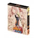 Naruto Shippuden box18 (episodios 462 a 500) - BD