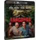 Anaconda (2025) (4K UHD + BD)