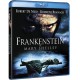Frankenstein de Mary Shelley (BD)