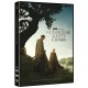 El caballero de los siete reinos (DVD) - DVD