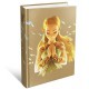 Guia The Legend of Zelda Breath of the Wild edición Extendida - SWI